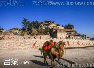 ɽ��-����