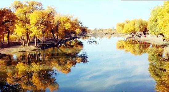 ���ɹ����а�����������֮�������ο����ι���