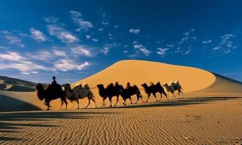 ���ɹ����а�����������֮��Ʒ��·�ο����ι���