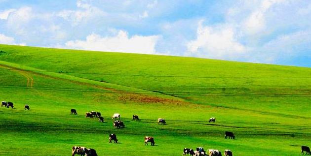 ���ɹź��ױ������ԭ���βο�