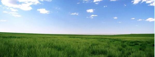 ���ɹ�����������ͺ������ι����ܱߺ÷��