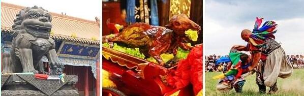 ���ɹ�����������ͺ������ι��Գ��ñض�