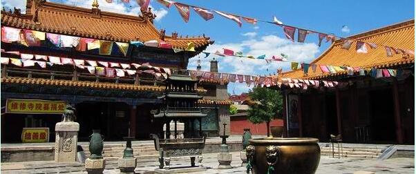 ���ɹ�����������ͺ������ι��Բ��ò�������