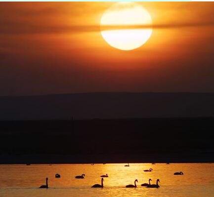 ���ɹ��������ǳ�����ι�����������������Ͼ�