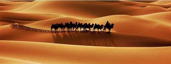 ���ɹ��������ǳ�����ι���ãã���ɳĮ֮��