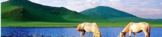 ���ɹ��������ǳ�����ι��Ծ����г��Ƽ�