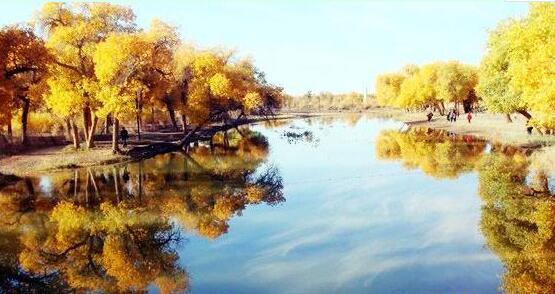 ���ɹ����а�����������֮�������ο�