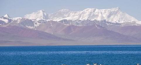 �ຣ���и�ԭʥ���ຣ�����ι�����ת�ຣ�����ι���