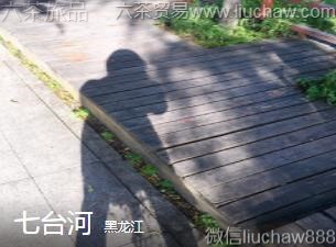 黑龙江-七台河....