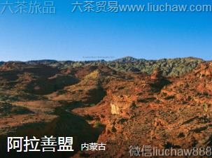 ���ɹ�-��������..