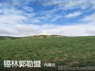 ���ɹ�-���ֹ�����