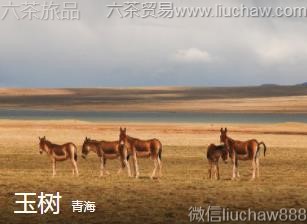 �ຣ-����...