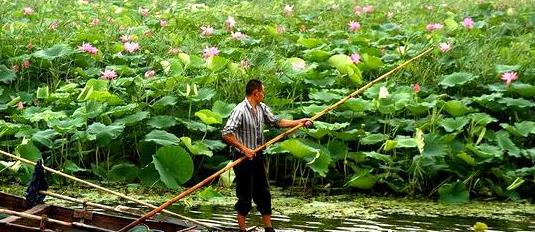 山东旅行三孔圣地曲阜旅游攻略周边景点推荐