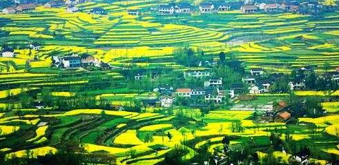 ���������Ͳ˻��ƺ��������ι��Ի����ĵط�