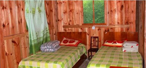 �Ĵ�������̬�����ι�Ԫ�ײ�ɽ������;ס�޲ο�