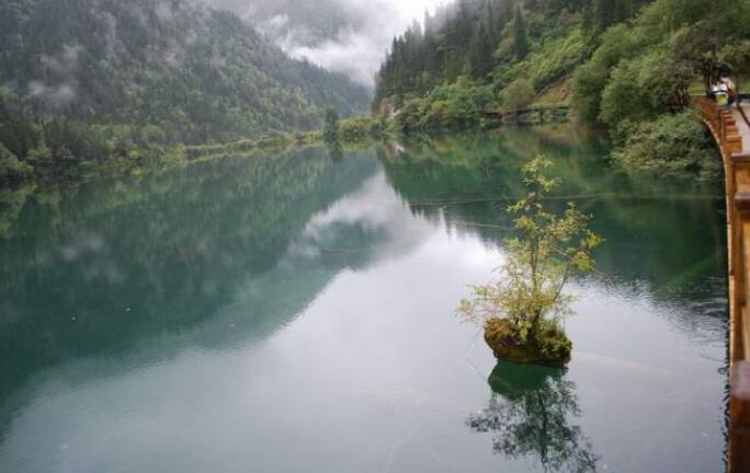 6���կ�����������ι����ܽ�ľ��齨��