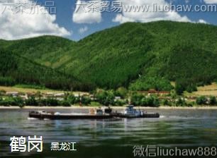 ������-�׸ڣ�