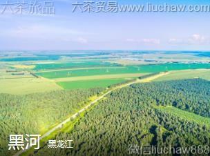 ������-�ںӣ�