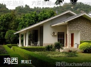 ������-������