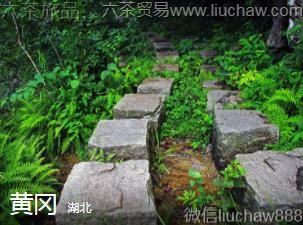 ����-�Ƹԣ�