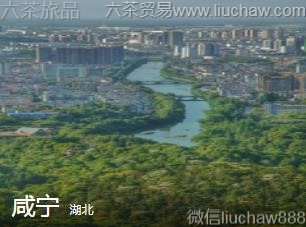 ����-������