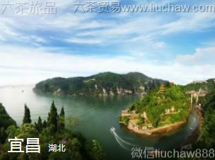 ����-�˲���