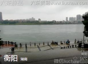 ����-������