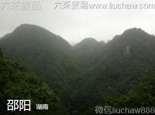 ����-������