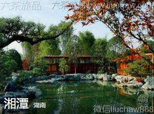 ����-��̶��