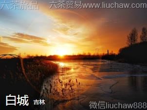 ����-�׳ǣ�