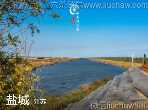 江苏-盐城,