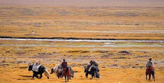 ����������ެ��Դ��ɽ������֮ȥɽ�ϵĵĶ������