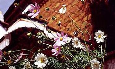 ���������չ���������ι����ܱ߾���ο�