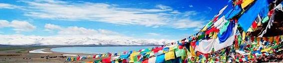 ���ؾ�����·���ι���֮ѡ����ַ�ʽ���