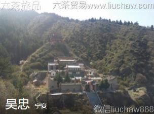 ����-���ң�