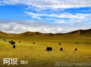 �Ĵ�-���ӣ�