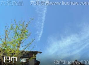 �Ĵ�-���У�