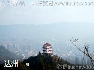 �Ĵ�-���ݣ�