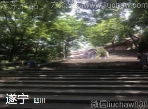 �Ĵ�-������