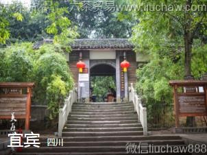 �Ĵ�-�˱���