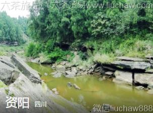 �Ĵ�-������