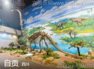 �Ĵ�-�Թ���