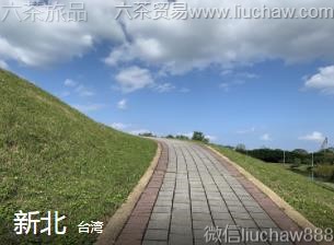 ̨��-�±���