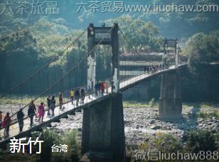 ̨��-����