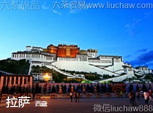 ����-������