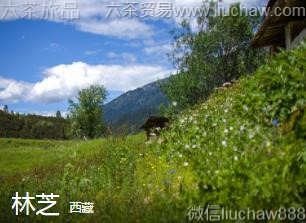 ����-��֥��