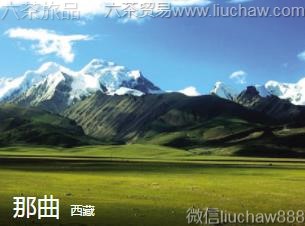 ����-������