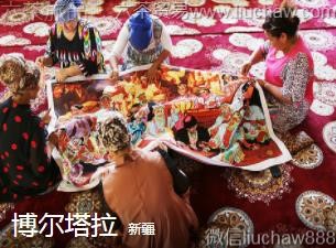 �½�-����������