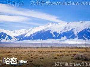 �½�-���ܣ�