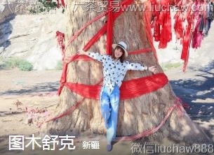 新疆-图木舒克,